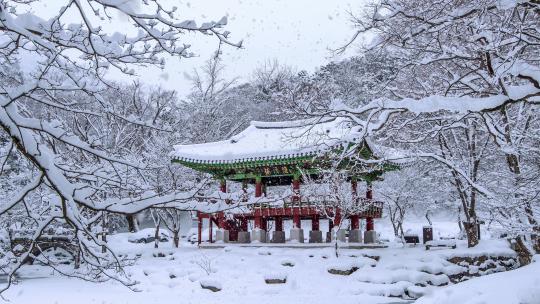 下雪大雪纷飞江南园林古建筑升格慢镜头