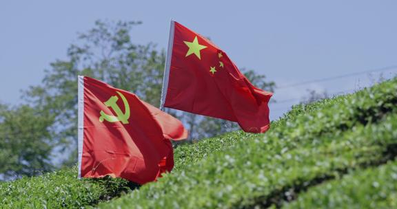 4k 实拍红星红旗飘扬