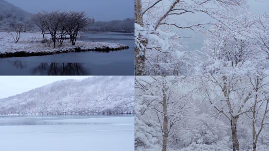 公园树林湖泊下雪雪景雪花飘落立冬至