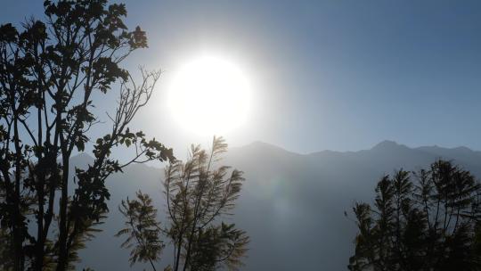 森林大自然流水风景树林山水自然山山川