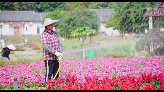 4k田园花园公园花卉浇水人物唯美意境合集