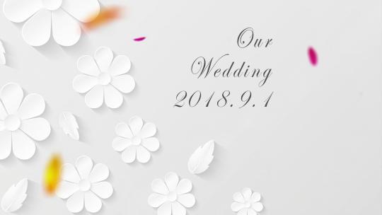 【AE模板】爱情婚礼AE视频素材教程下载
