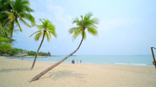海南三亚 椰树 椰子树 海边沙滩海滩度假视频素材模板下载