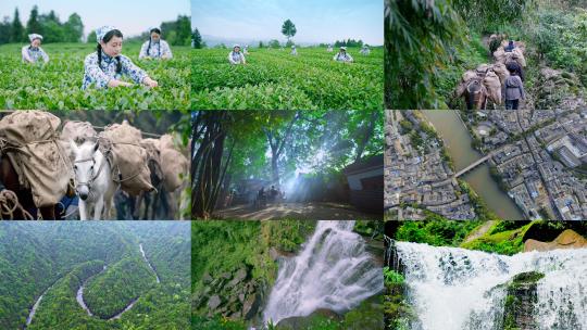 MINI拍摄茶马古道采茶山川河流合集4K