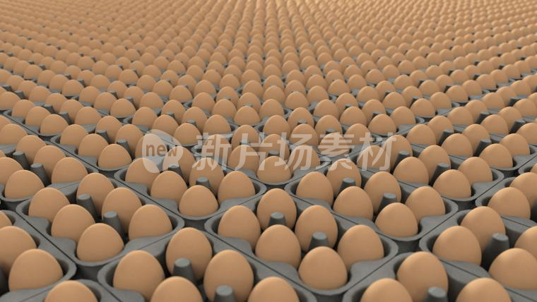 鸡蛋 鸡 蛋 蛋类 蛋白质 优质蛋白