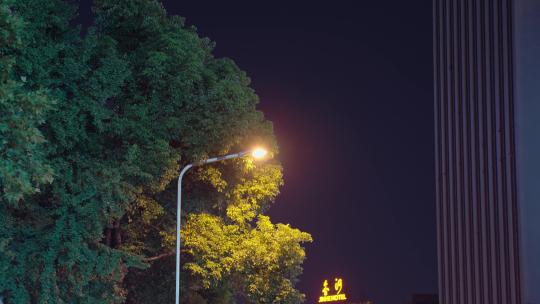 城市夜晚街边路灯