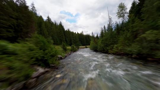 森林树木河流溪水穿越机航拍视频素材模板下载