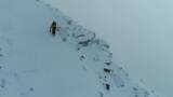 攀登陡峭雪山的登山者高清在线视频素材下载