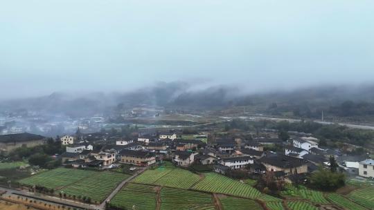 航拍福建农业乡村农田清早晨雾云海