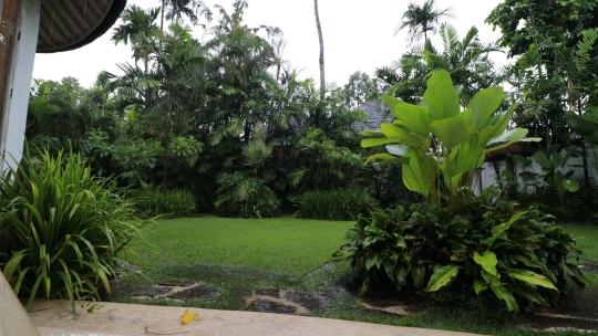 巴厘岛别墅暴雨户外芭蕉叶全景拍摄