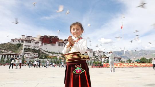 西藏拉萨布达拉宫广场藏族女孩和飞过的鸽子