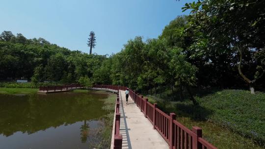 fpv穿越机航拍广州大夫山森林公园人物跑步
