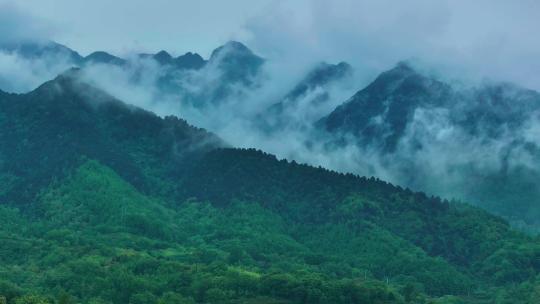 森林高山云雾环绕 秦岭航拍