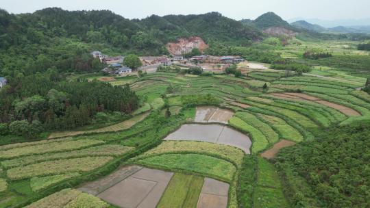 美丽乡村农田农业种植山川丘陵航拍