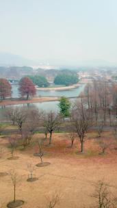 清晨的上海辰山植物园