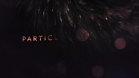 奢华精美粒子背景文字标题开场动画片头