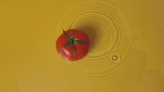 番茄滴水B