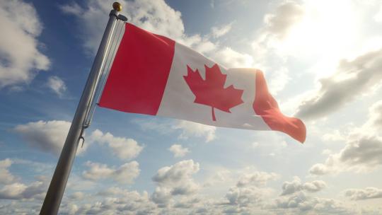 375_加拿大国旗在风中飘扬