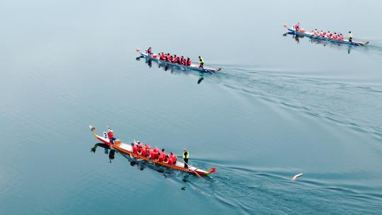 4K航拍大邑西湖公园端午赛龙舟多镜头合集