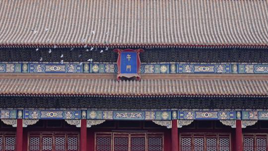4K超清故宫古建筑午门和平鸽红墙视频素材模板下载