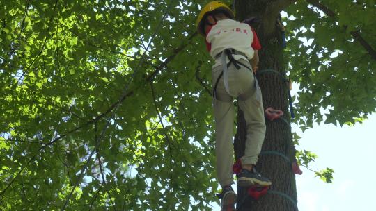 小男孩在树顶利用保险绳索下降