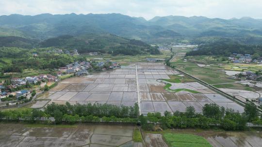 水田农业种植农田航拍