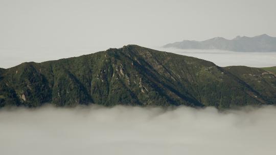 云上雨林山脊的顶层视频素材模板下载