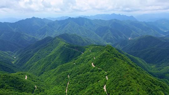 秦岭牛背梁自然保护区陕西省