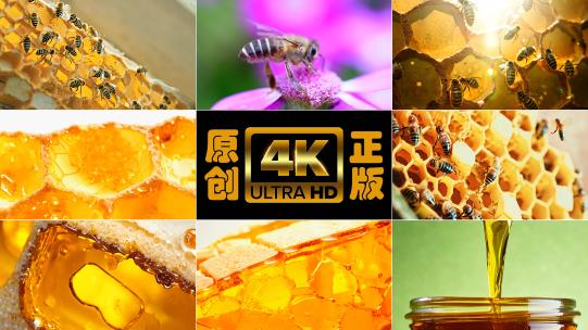 蜂蜜养蜂蜂窝蜂蜜广告高清在线视频素材下载