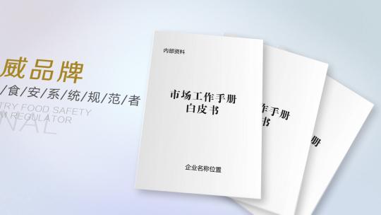 翻书书页大气企业红头文件工作手册系统