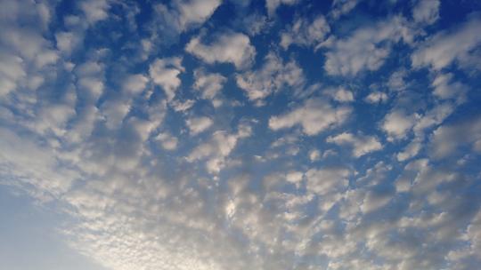 晴朗天空下早晨的鱼片云实拍视频