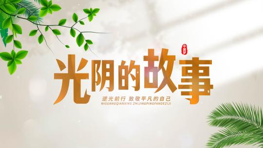 清新明亮干净光影文字片头标题