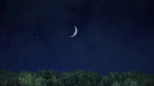 唯美夜空星空银河星星月亮动画场景视频素材模板下载
