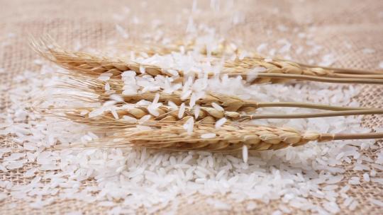 大米洒落健康营养绿色稻米广告视频素材模板下载
