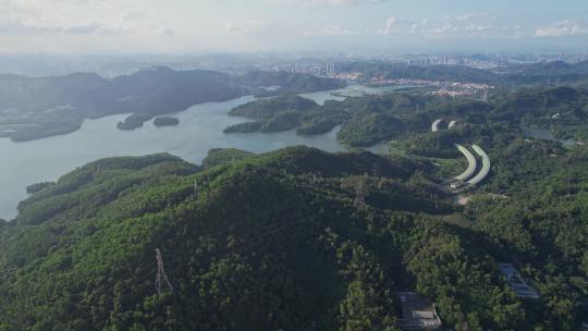 仙湖植物园