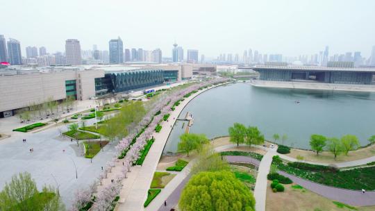 天津文化中心海棠花景观航拍