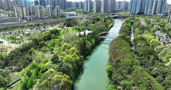 航拍公园城市成都锦江沙河园林绿化春天风景
