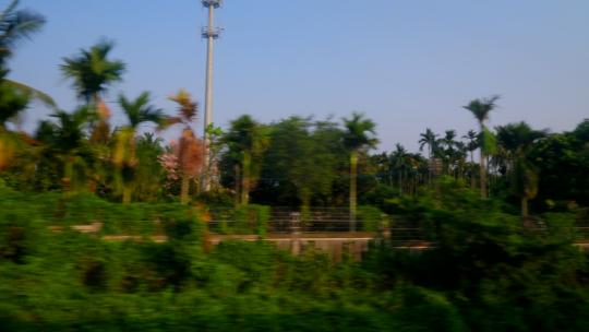 海南高铁动车火车窗外风景沿途风光 椰树视频素材模板下载