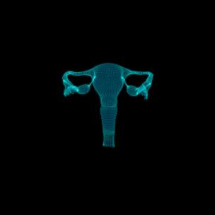女性子宫卵巢生殖系统3D旋转粒子动画
