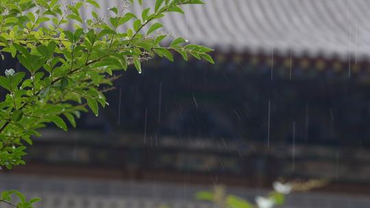 下雨升格高清在线视频素材下载