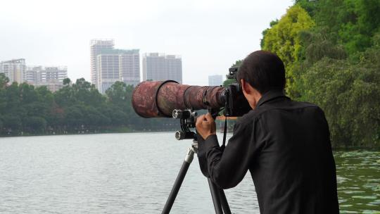 专业摄影师拍鸟视频素材模板下载