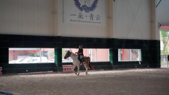 中国马术训练场，马场里骑马的人视频素材模板下载