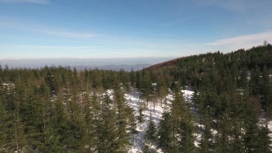 鸟瞰雪域森林