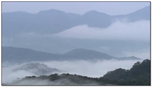 山雾重重实景拍摄视频素材