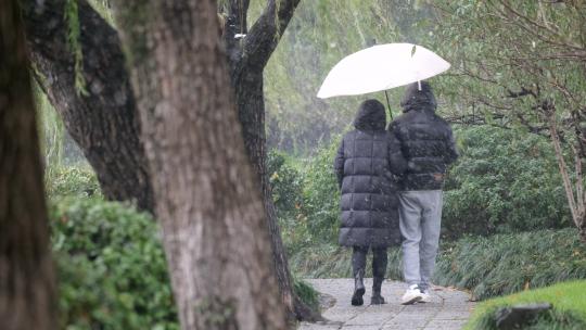 杭州西湖苏堤风景实拍