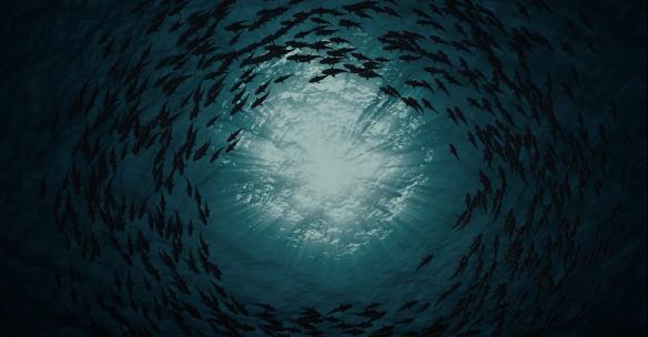 深海海洋鱼群