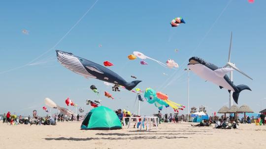 沙滩上的风筝节各种大风筝随风摆动
