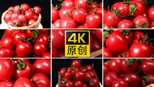小番茄 西红柿 圣女果 4K高清在线视频素材下载