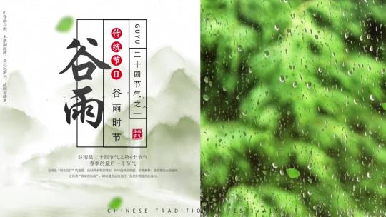 谷雨二十四节气宣传片头1