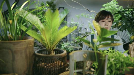 花艺 园艺 种花 花草 花店 盆景 盆栽 绿植